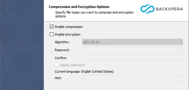 Compression and encryption options
